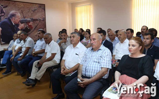 Azərbaycan mediası “30 iyun – Sevgililər Günü” nü qeyd etdi – Fotolar