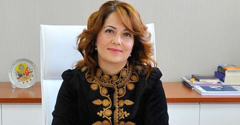 Funda Kocabıyık: “15 iyul çevriliş yox, işğal cəhdi idi”