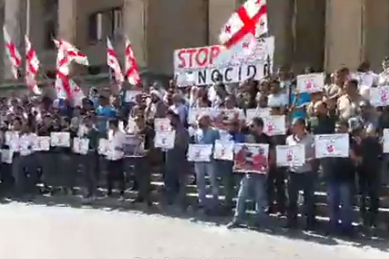 Gürcüstandakı soydaşlarımız aksiya keçirtdi – Video