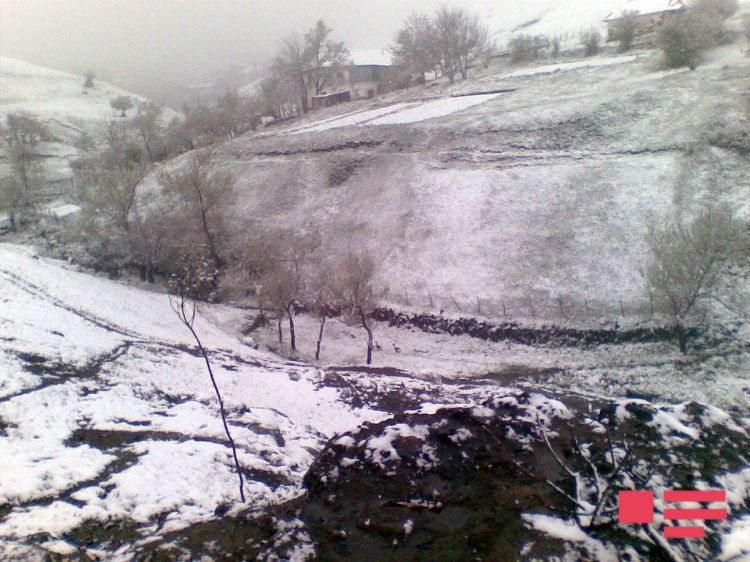 Lerikə ilk qar yağdı