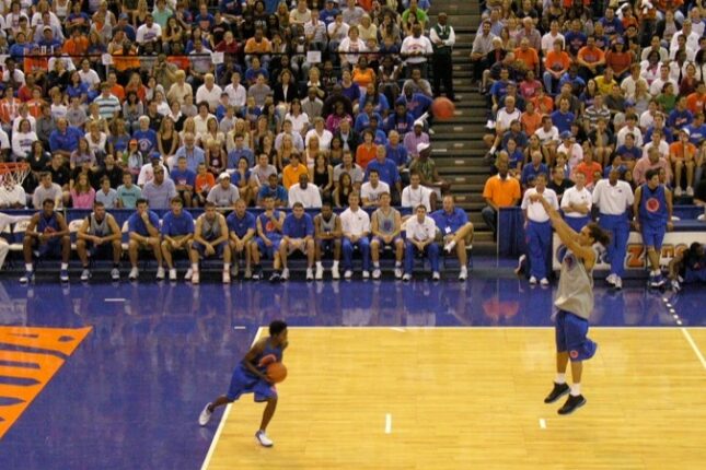 featured-image-728207