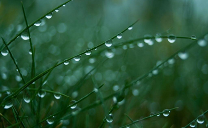 featured-image-50461