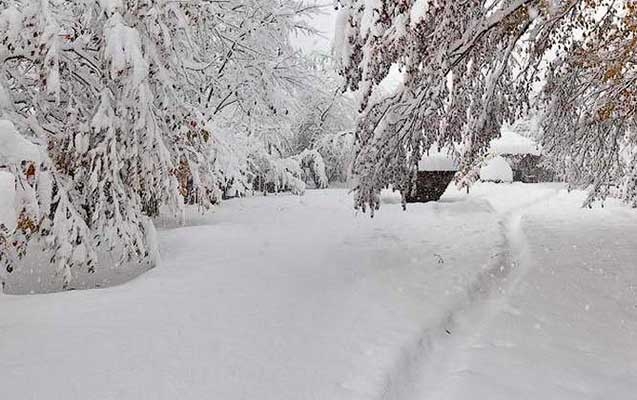 featured-image-66430