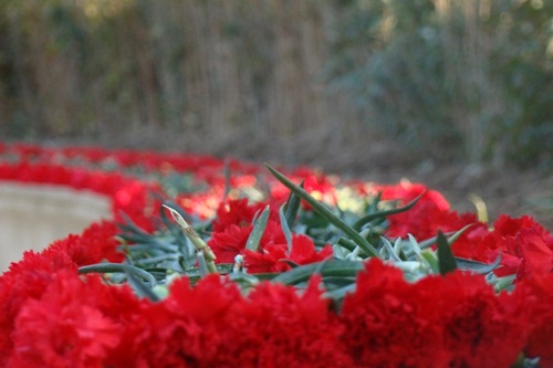 featured-image-107898