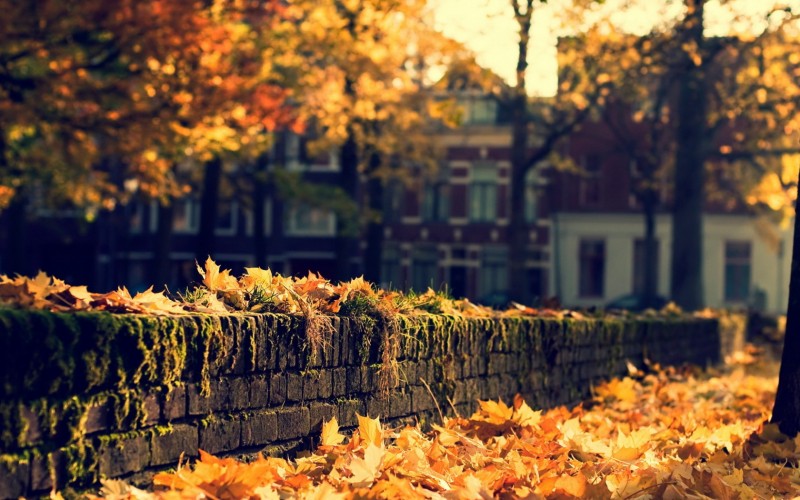 featured-image-143153