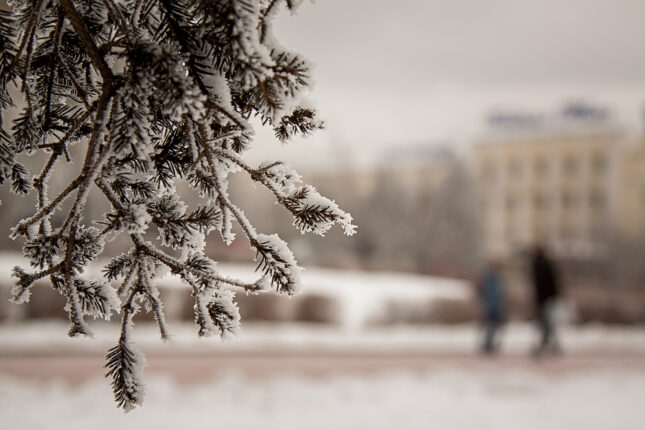 featured-image-148619