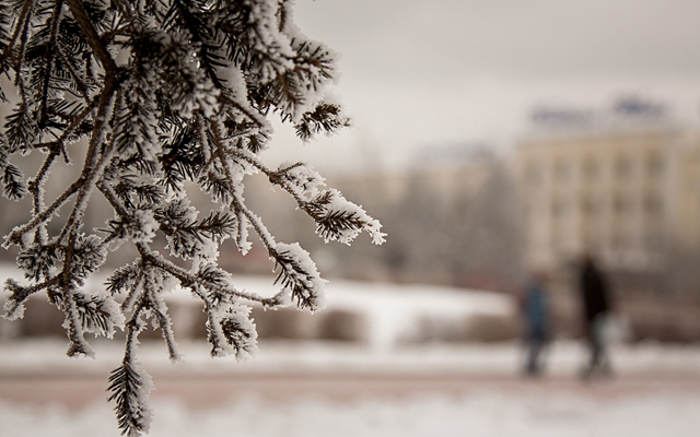 featured-image-161071