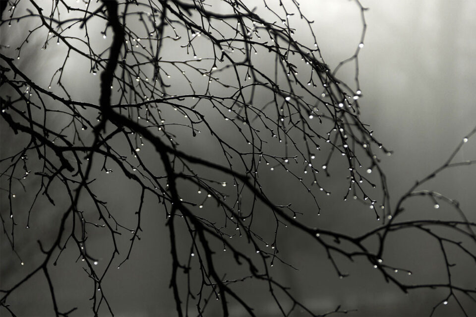 featured-image-169844
