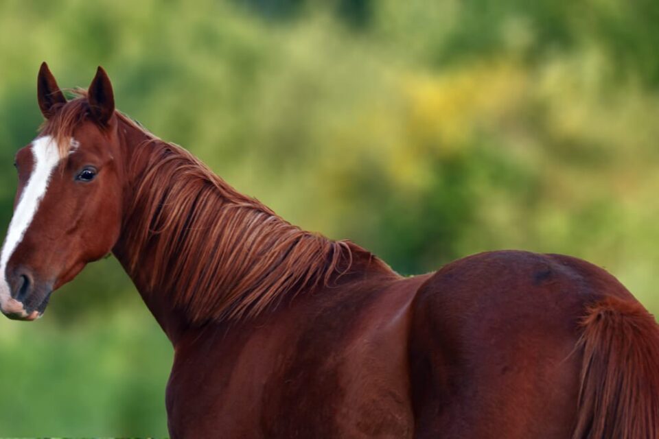 featured-image-494618
