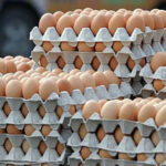 featured-image-714316