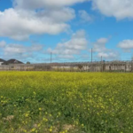 featured-image-712953