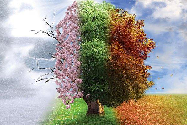 featured-image-571010