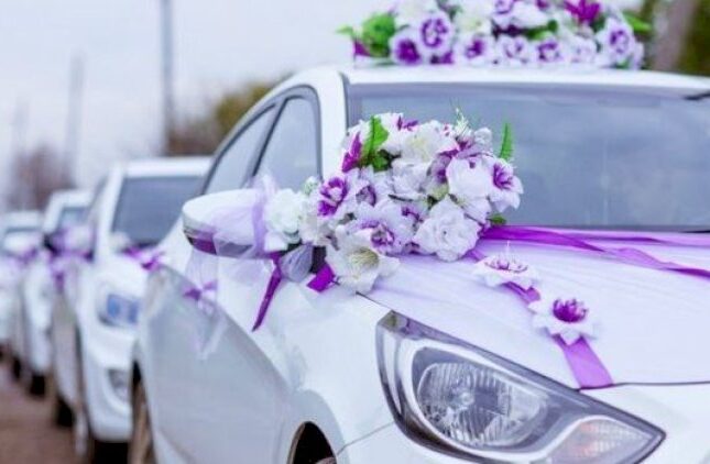 featured-image-590244