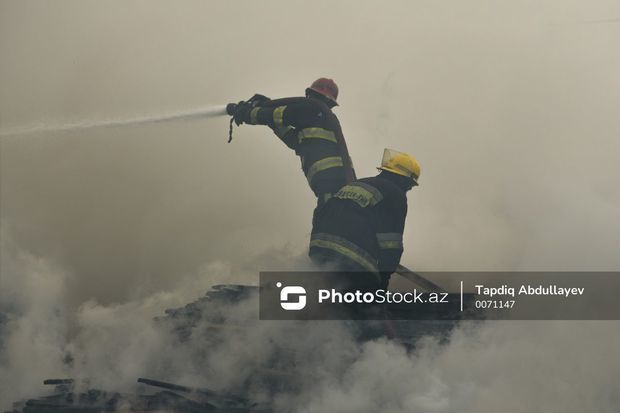 featured-image-590905