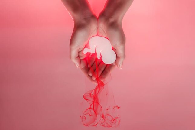 featured-image-611851