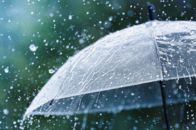 featured-image-610317