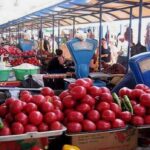 featured-image-717590