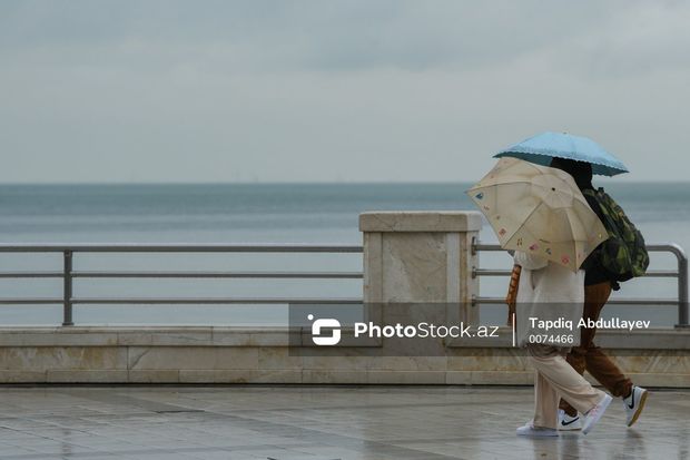 featured-image-608320
