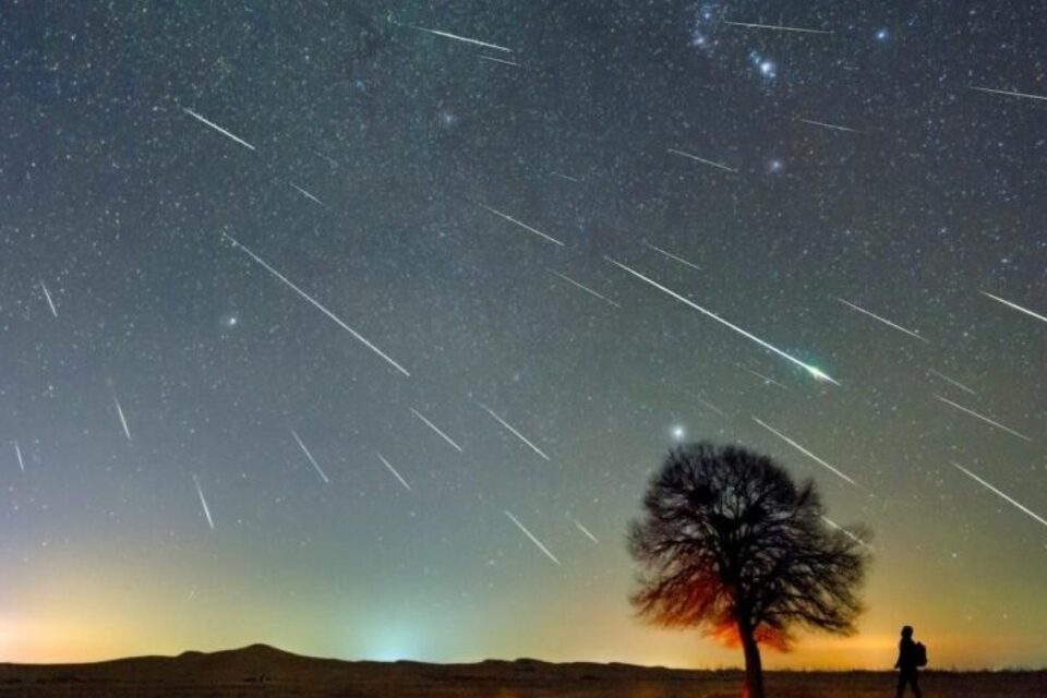 featured-image-710022