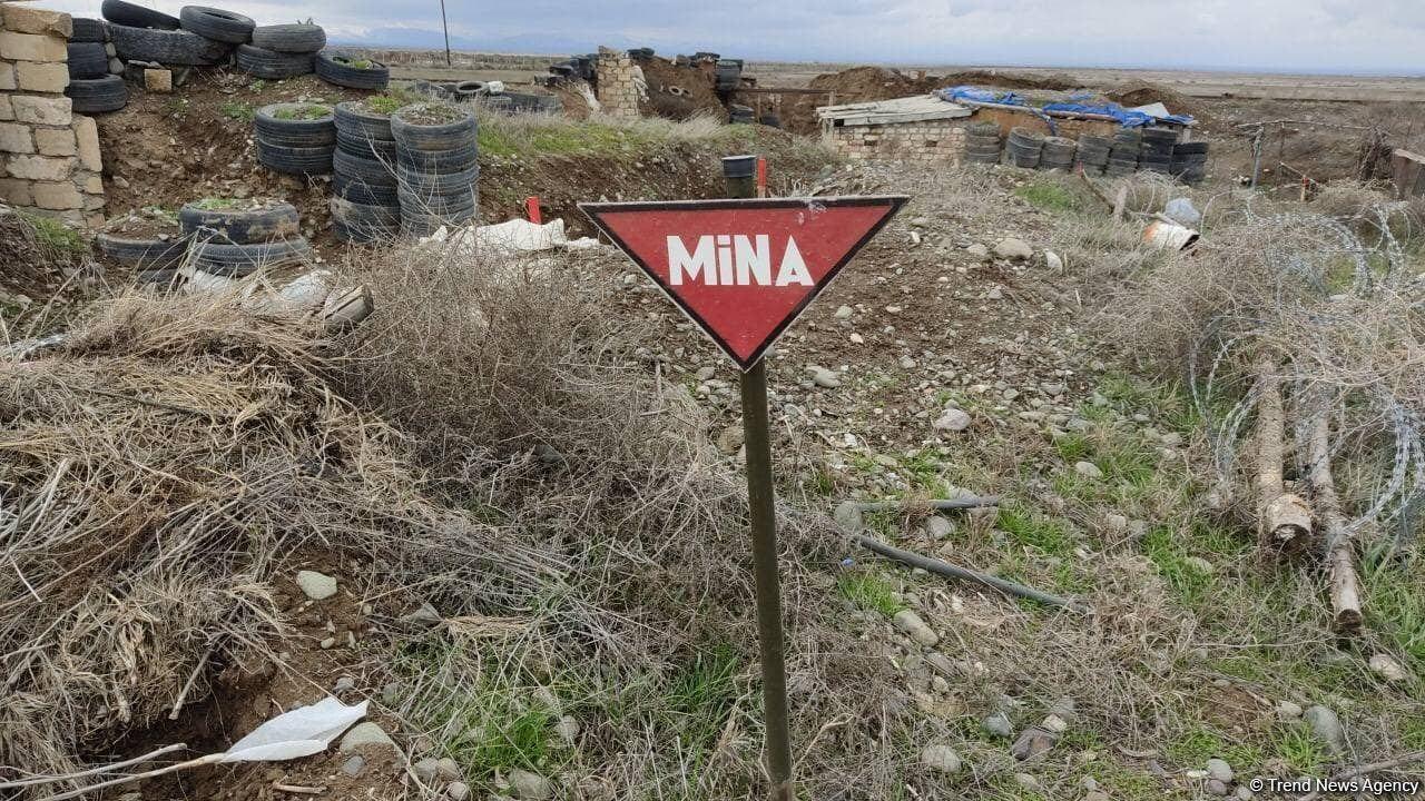 media-1681368229_mina_150321