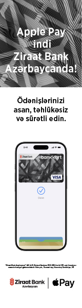 media-apple-pay_160x600-visa