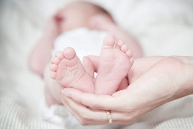 featured-image-690730