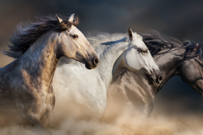 featured-image-701175