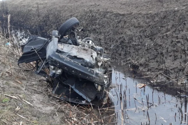 featured-image-705744