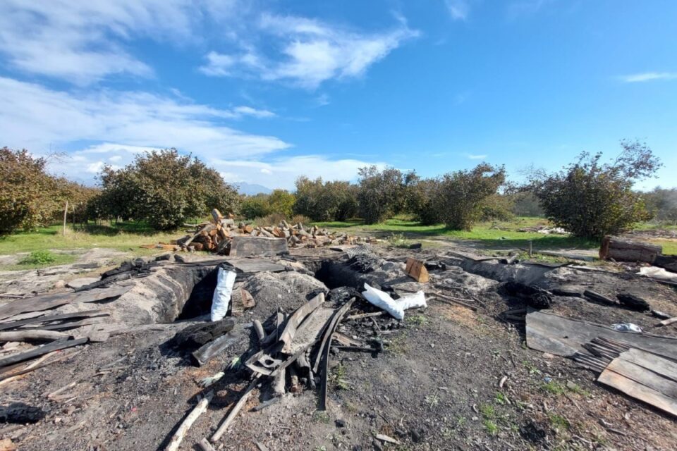 featured-image-708099