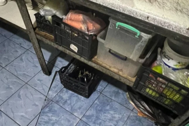 featured-image-708614