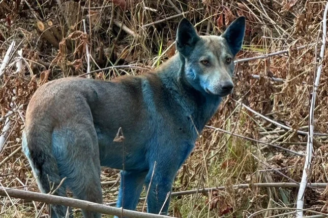 featured-image-707933