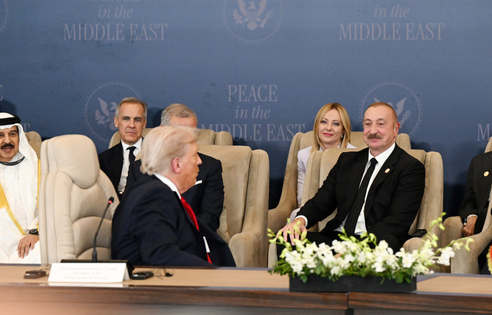 media-ilham_aliyev_misir_sammit_15