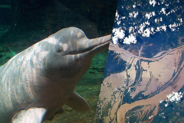 featured-image-710407