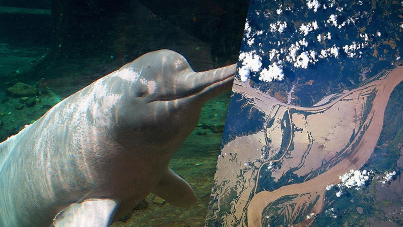 featured-image-710407