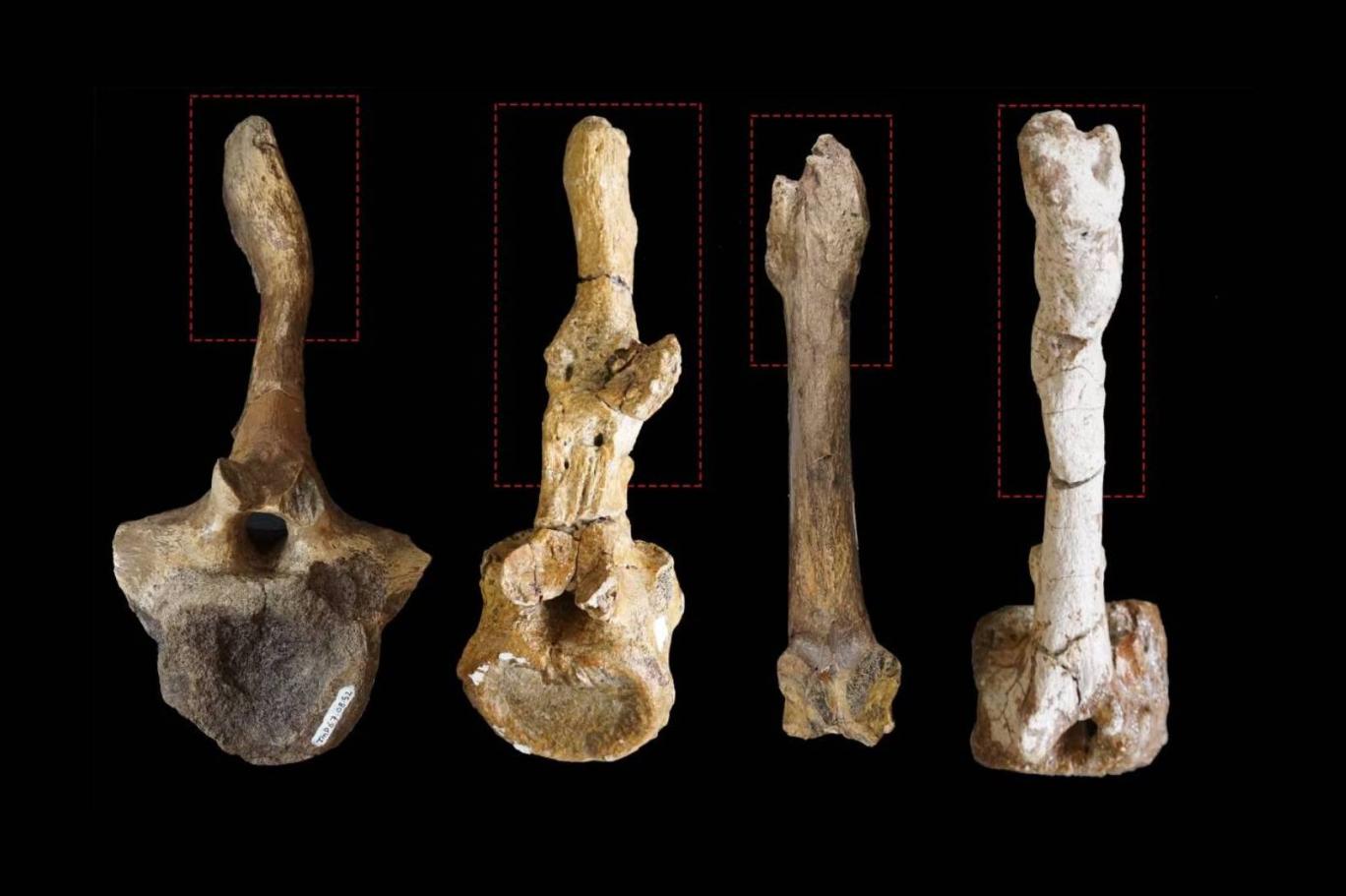 media-1358751-916586078