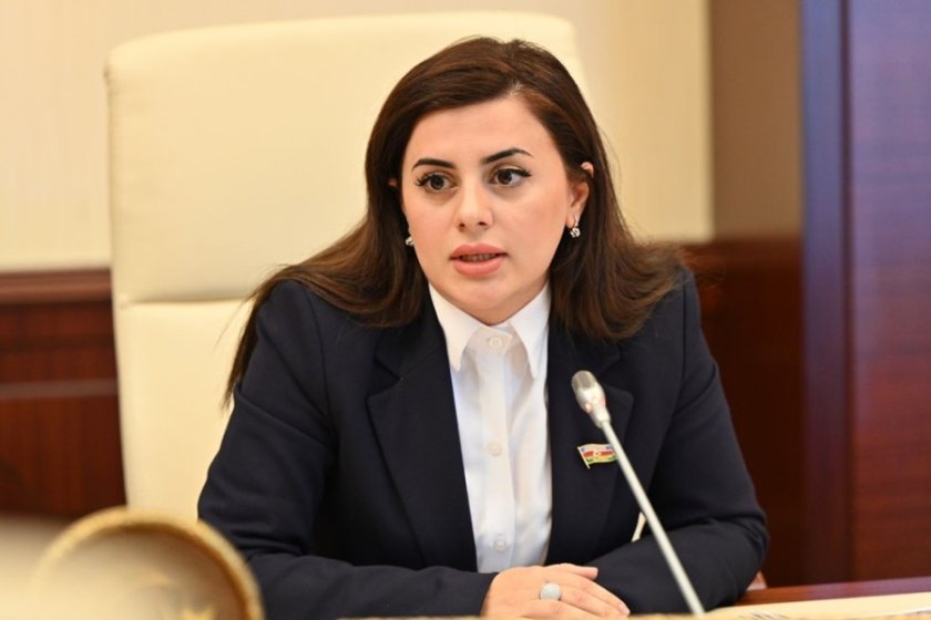 media-1743241593_pervane-veliyeva-22