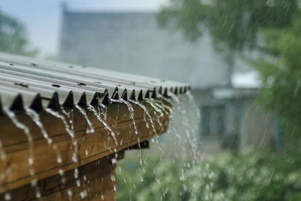 featured-image-709420