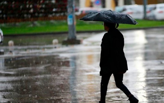 featured-image-709208