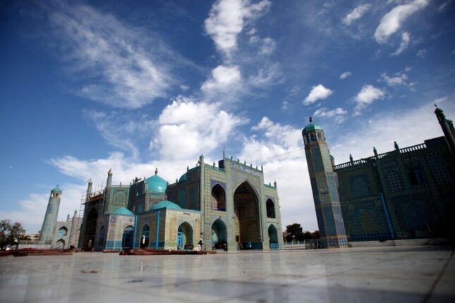 featured-image-708893