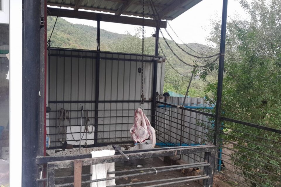 featured-image-709187