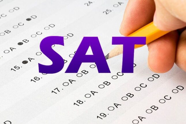 featured-image-709384