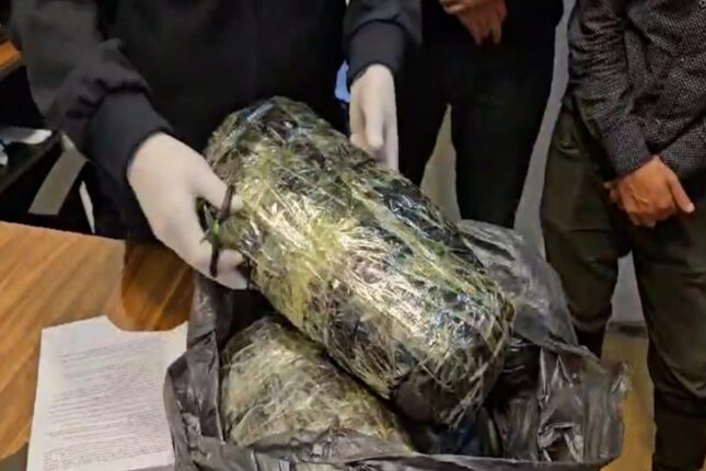 featured-image-709925