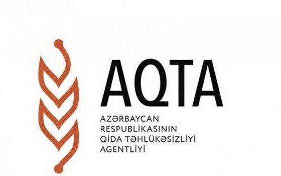 featured-image-712184