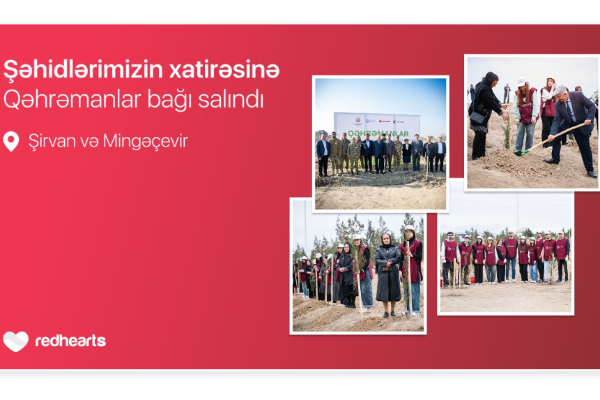 featured-image-713068