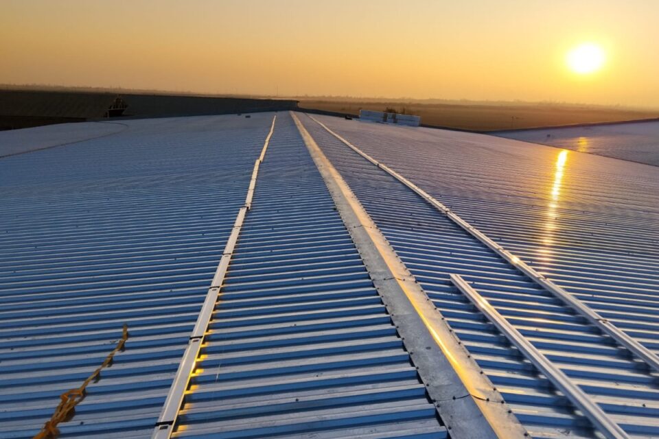 featured-image-713432