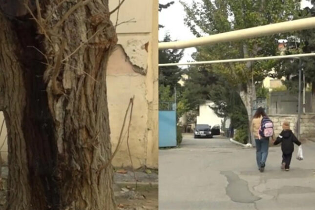 featured-image-710971