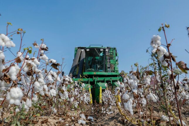 featured-image-712430