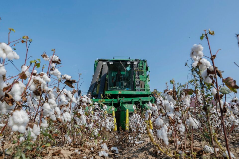 featured-image-712430