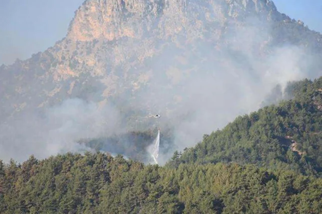 featured-image-711676