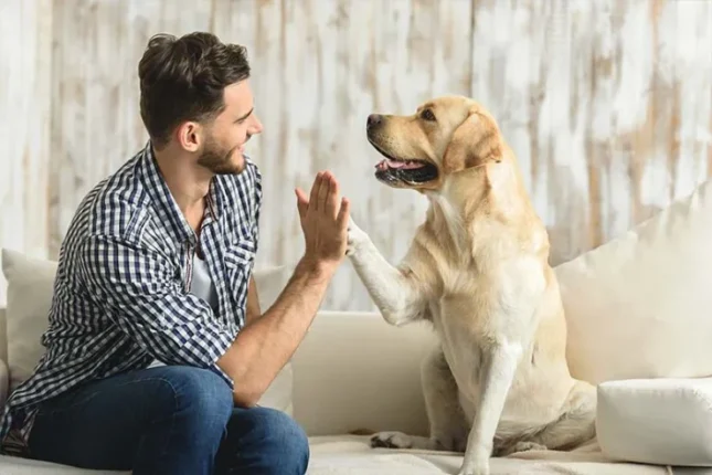 featured-image-713450